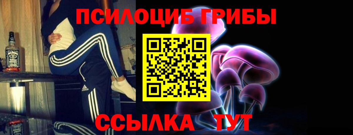 Псилоцибиновые грибы Psilocybe Гулькевичи